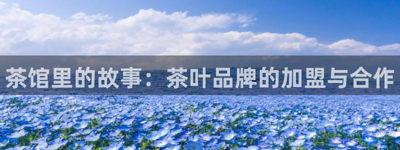 彩名堂官网谁有