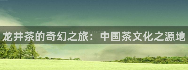 彩名堂预测计划