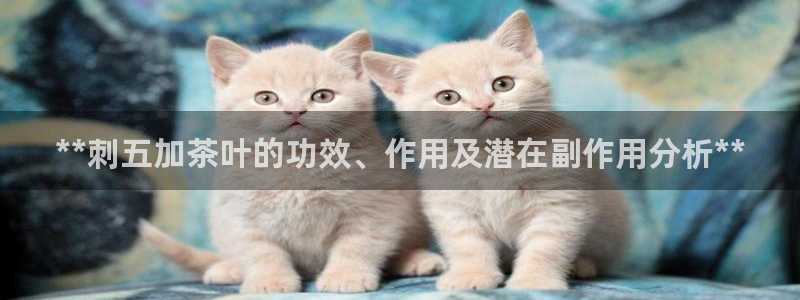 彩名堂v1.0.6