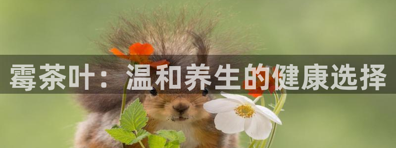 彩名堂彩