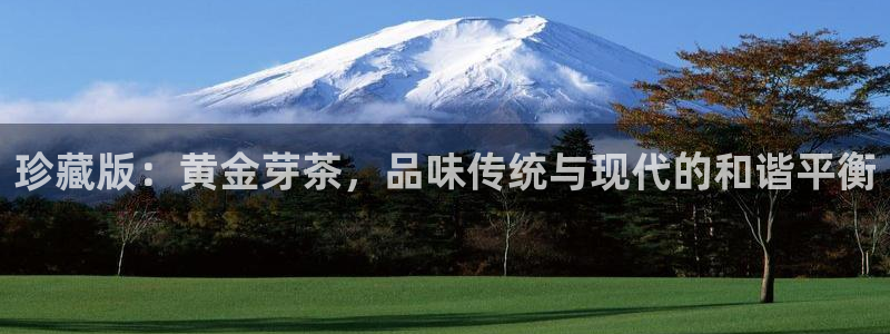 彩名堂5.0版计划怎么用不了