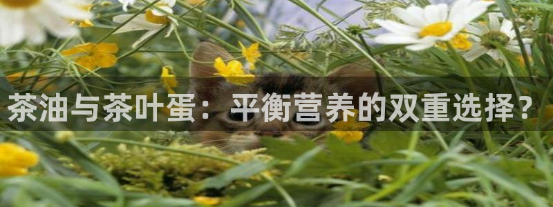 彩名堂免费计划官网5.0.0