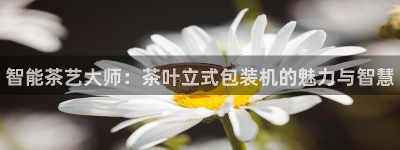 彩名堂