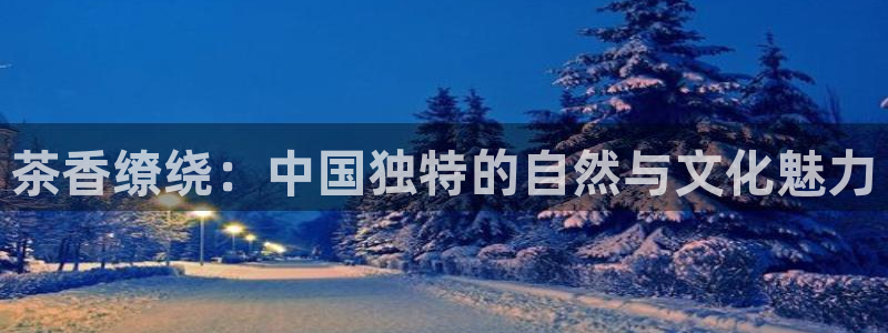 彩名堂app2.05版本