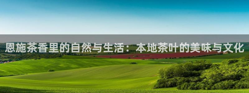 下载彩名堂预测计划软件安卓