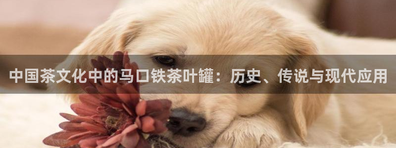彩名堂app彩名堂客户端