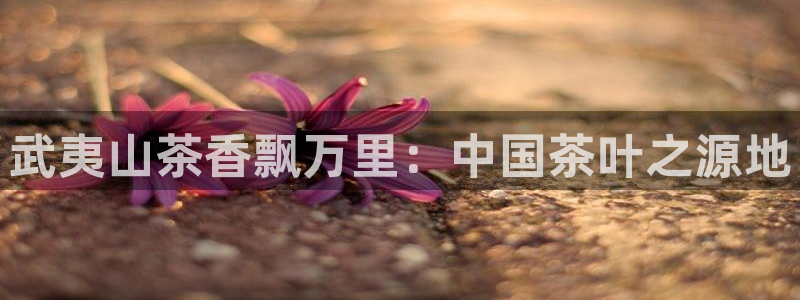 彩名堂app计划官方网站