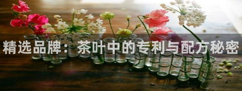 彩名堂计划真的准吗