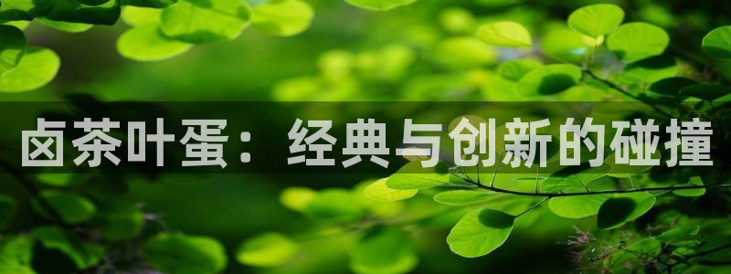 彩名堂手机客户端官网