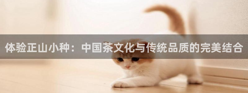 彩名堂预测软件与分析