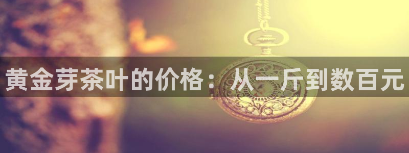 彩名堂预测软件与分析