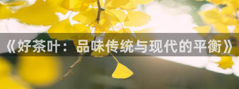 下载彩名堂预测计划软件安装