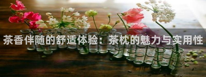 彩名堂手机客户端