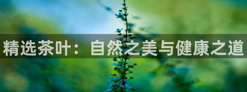 彩名堂客户端是永久免费吗安全吗知乎