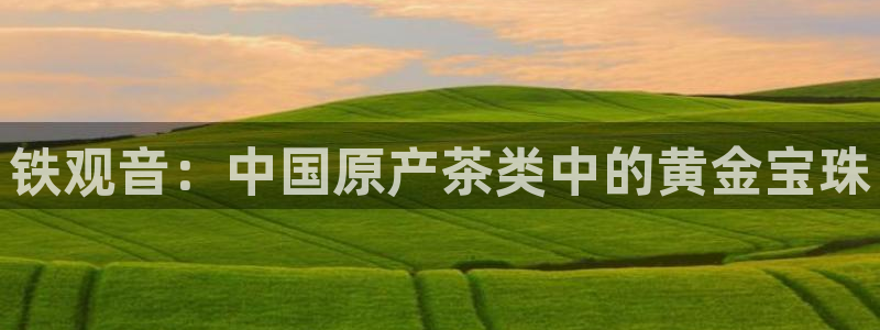 彩名堂免费计划下载