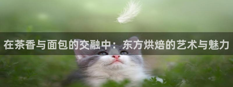 彩名堂最新免费计划官网