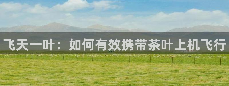 彩名堂怎么跟计划才不连挂在一起