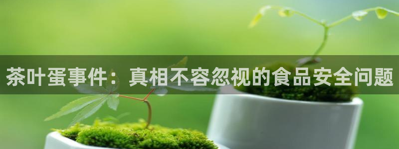 老版本彩名堂计划软件