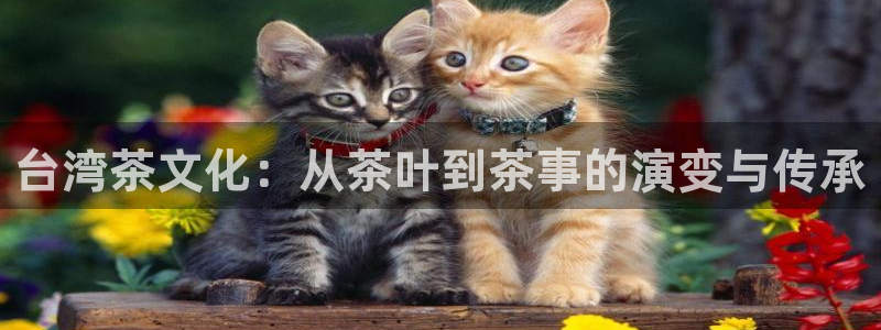 彩名堂官网计划