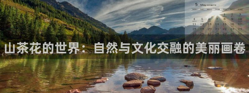 彩名堂最新计划下载地址