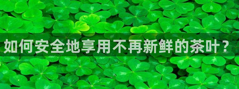 彩名堂计划怎么买胜率高