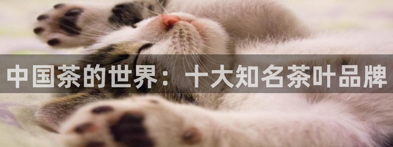 彩名堂官网网页计划