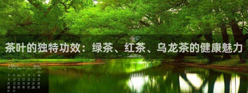 彩名堂预测软件与分析
