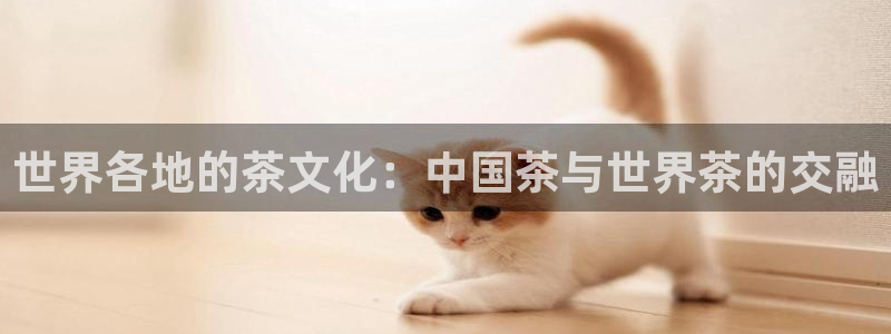 彩名堂手机客户端怎么下载