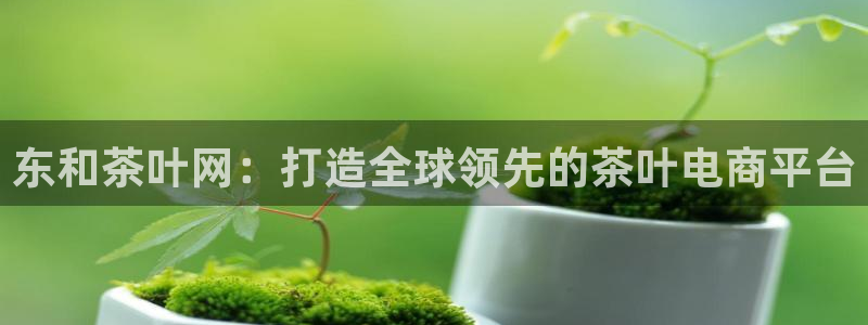 彩名堂为啥又不能用了
