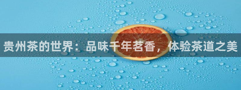 彩名堂人工预测免费计划