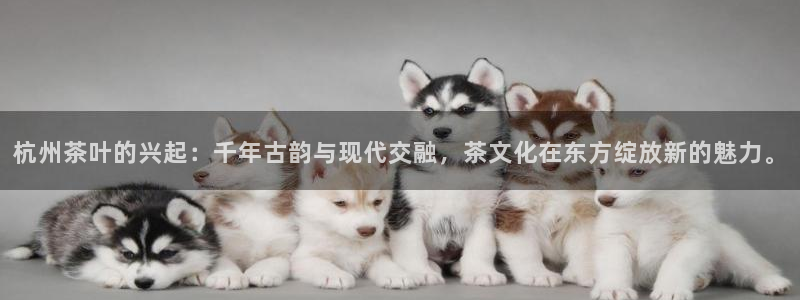 彩名堂官方下载地址