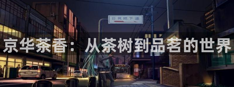 彩名堂怎么选稳定计划