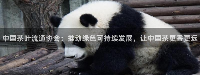 彩名堂免费计划使用方法是什么