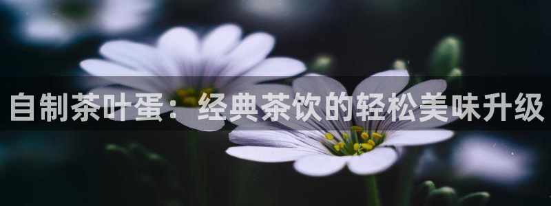彩名堂用不了