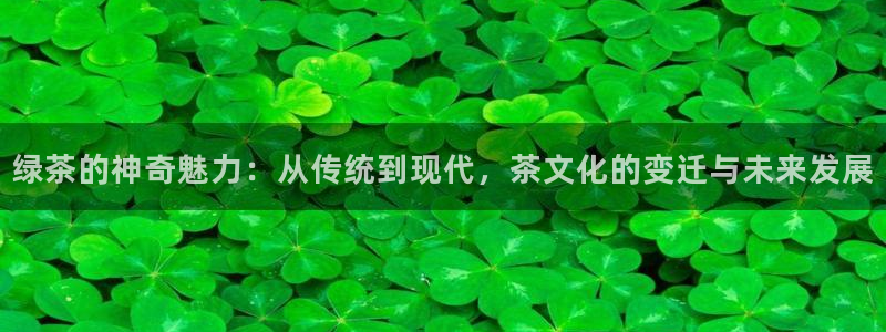 彩名堂预测软件