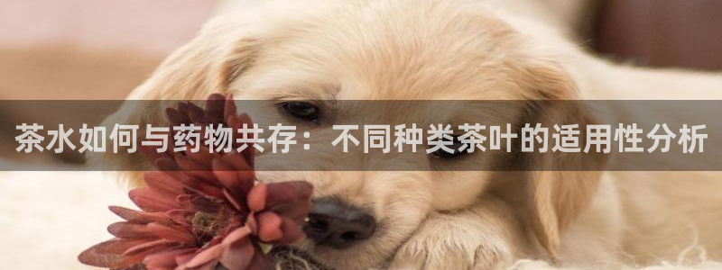 彩名堂50版本计划