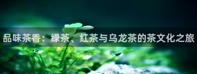 彩名堂免费计划下载