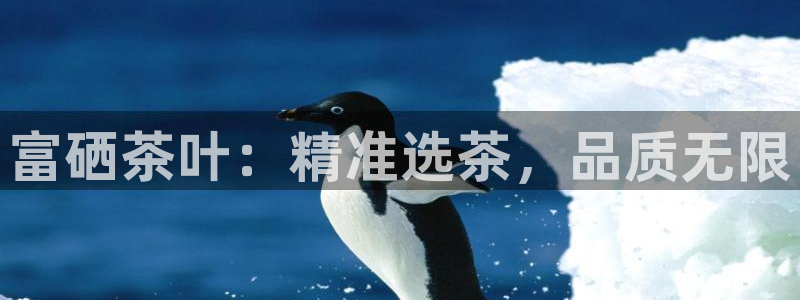 彩名堂使用方法