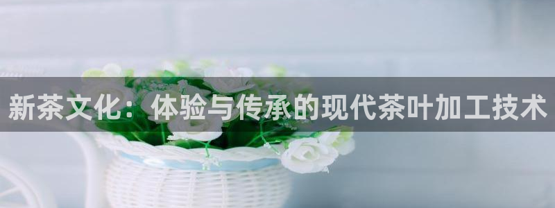 彩名堂好用还是千里马好用一点