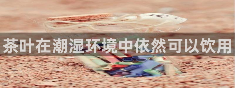 彩名堂app官方网址是多少