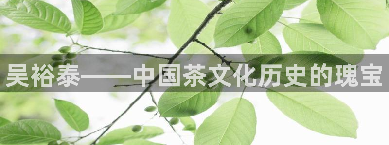 彩名堂客户端加拿大