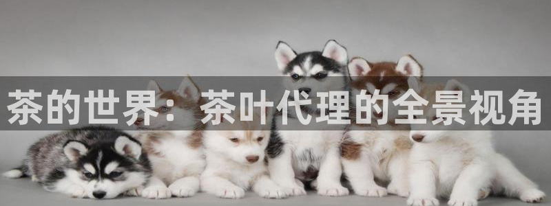 彩名堂客户端加拿大