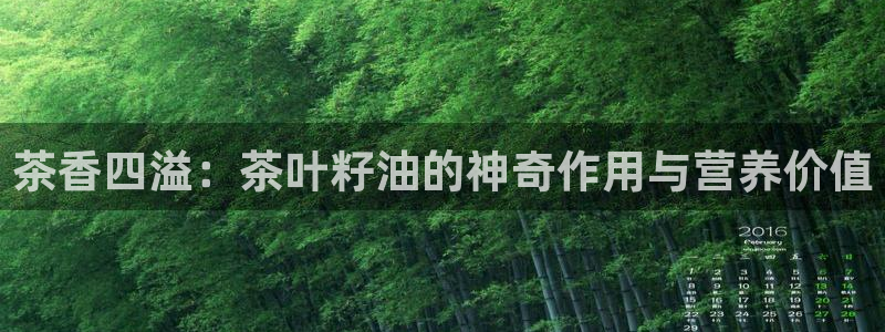 彩名堂50版本计划
