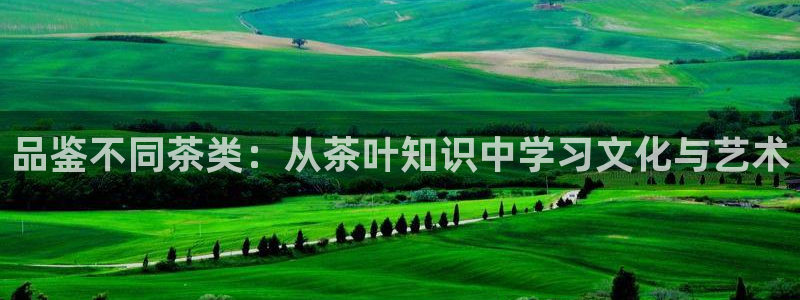 彩名堂怎么选稳定计划产品