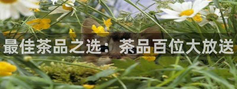 彩名堂苹果客户端怎么下载