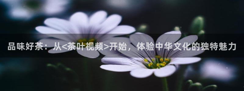 彩名堂客户端官网