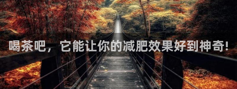 彩名堂是什么