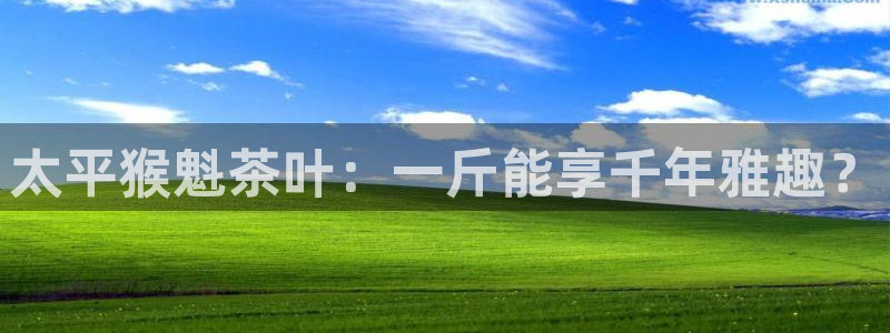彩名堂