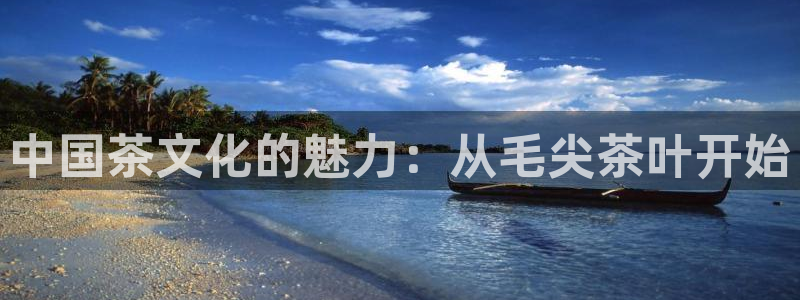 彩名堂官网计划怎么下载到手机