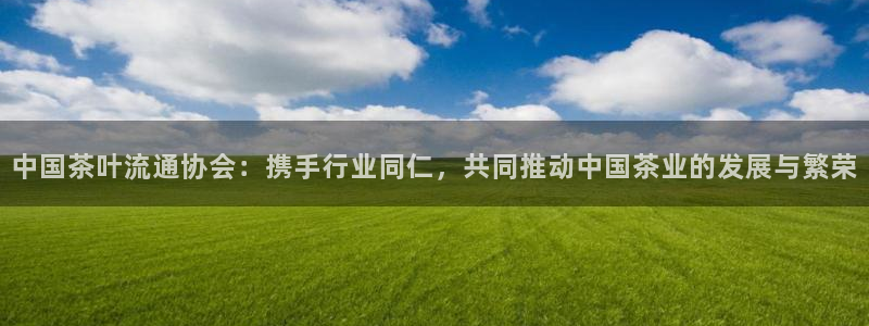 彩名堂一直不出结果怎么回事儿